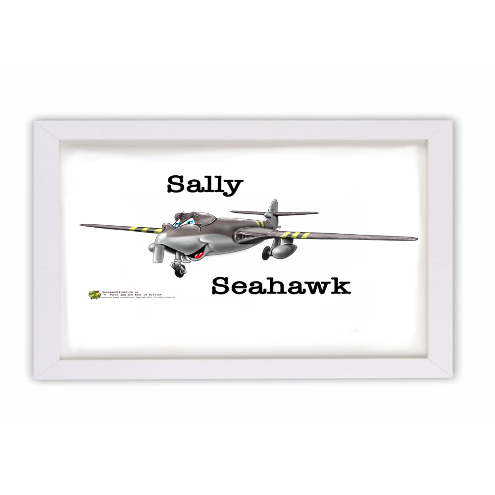 saly seahawk frame